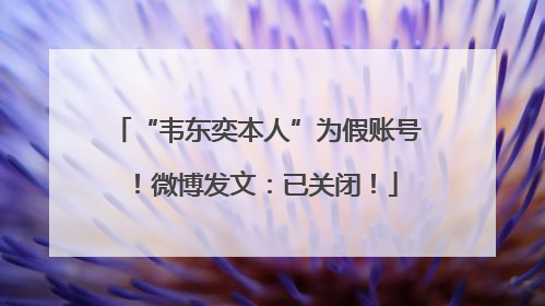 “韦东奕本人”为假账号！微博发文：已关闭！