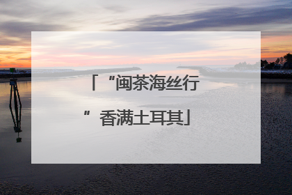 “闽茶海丝行”香满土耳其