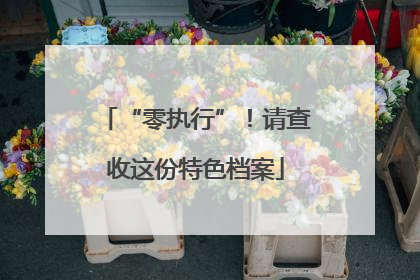 “零执行”！请查收这份特色档案