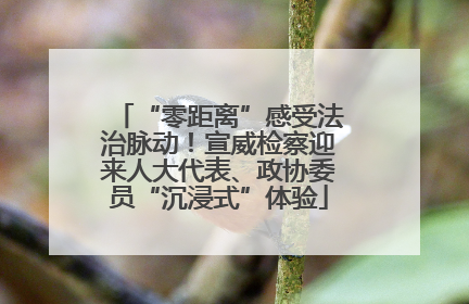 “零距离”感受法治脉动！宣威检察迎来人大代表、政协委员“沉浸式”体验