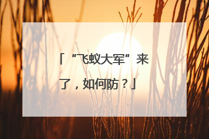 “飞蚁大军”来了，如何防？