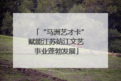 “马洲艺才卡”赋能江苏靖江文艺事业蓬勃发展