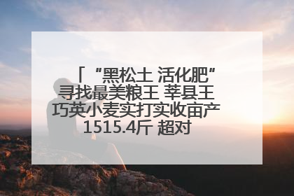 “黑松土 活化肥”寻找最美粮王 莘县王巧英小麦实打实收亩产1515.4斤 超对照田144斤！