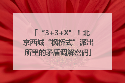 “3+3+X”！北京西城“枫桥式”派出所里的矛盾调解密码