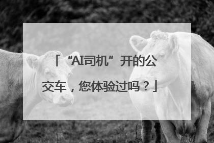 “AI司机”开的公交车，您体验过吗？