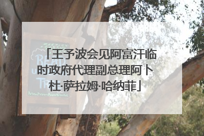 王予波会见阿富汗临时政府代理副总理阿卜杜·萨拉姆·哈纳菲