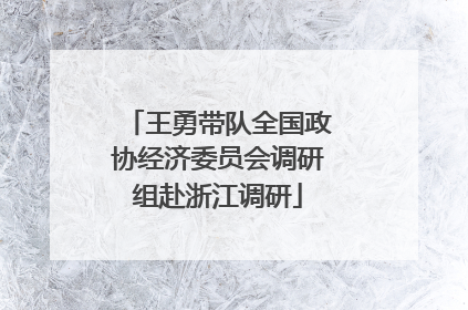 王勇带队全国政协经济委员会调研组赴浙江调研