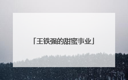 王铁强的甜蜜事业