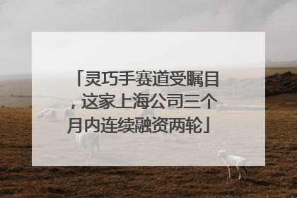 灵巧手赛道受瞩目，这家上海公司三个月内连续融资两轮