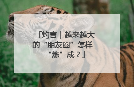 灼言｜越来越大的“朋友圈”怎样“炼”成？