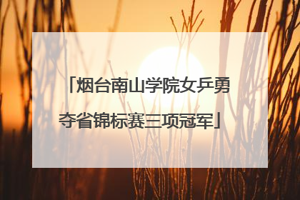 烟台南山学院女乒勇夺省锦标赛三项冠军