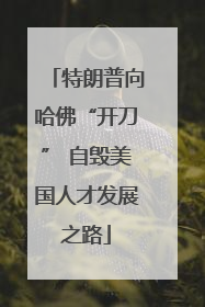 特朗普向哈佛“开刀” 自毁美国人才发展之路