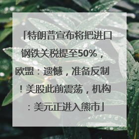 特朗普宣布将把进口钢铁关税提至50%，欧盟：遗憾，准备反制！美股此前震荡，机构：美元正进入熊市