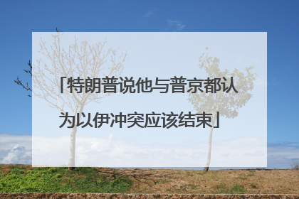 特朗普说他与普京都认为以伊冲突应该结束