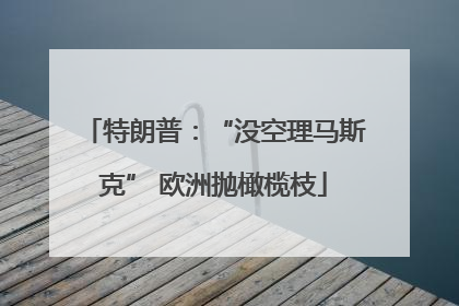 特朗普：“没空理马斯克” 欧洲抛橄榄枝