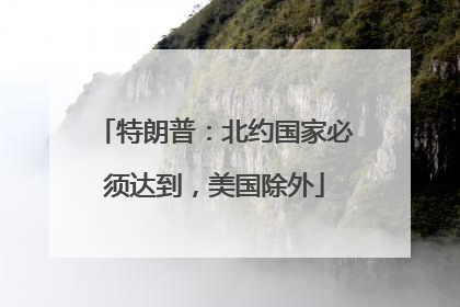 特朗普：北约国家必须达到，美国除外