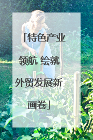 特色产业领航 绘就外贸发展新画卷