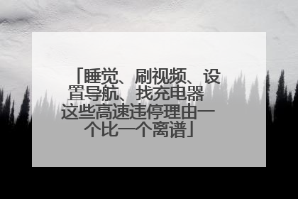 睡觉、刷视频、设置导航、找充电器 这些高速违停理由一个比一个离谱