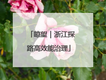 瞭望｜浙江探路高效能治理