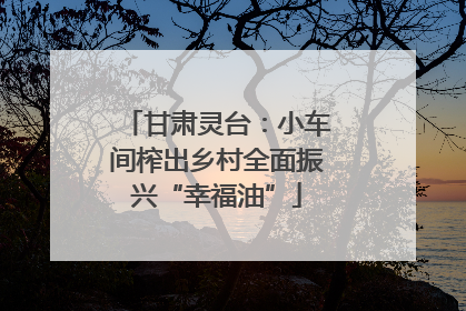 甘肃灵台：小车间榨出乡村全面振兴“幸福油”