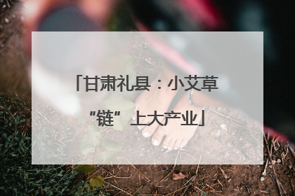 甘肃礼县：小艾草“链”上大产业
