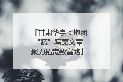 甘肃华亭：抱团“蔬”写菜文章 聚力拓宽致富路
