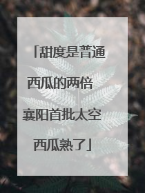 甜度是普通西瓜的两倍 襄阳首批太空西瓜熟了