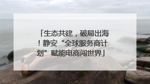 生态共建，破局出海！静安“全球服务商计划”赋能电商闯世界