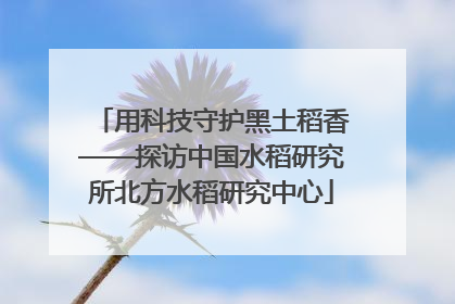 用科技守护黑土稻香——探访中国水稻研究所北方水稻研究中心