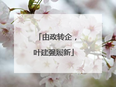 由政转企，叶建强履新