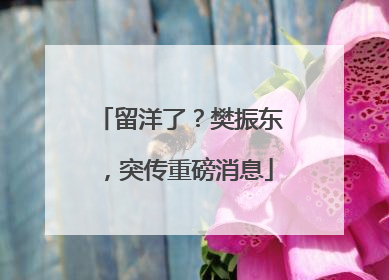 留洋了？樊振东，突传重磅消息