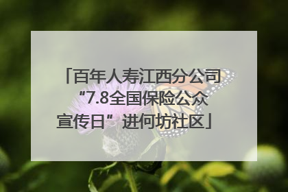 百年人寿江西分公司“7.8全国保险公众宣传日”进何坊社区