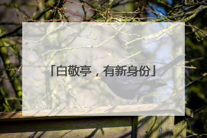 白敬亭，有新身份