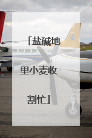 盐碱地里小麦收割忙