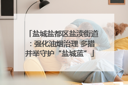 盐城盐都区盐渎街道：强化油烟治理 多措并举守护“盐城蓝”