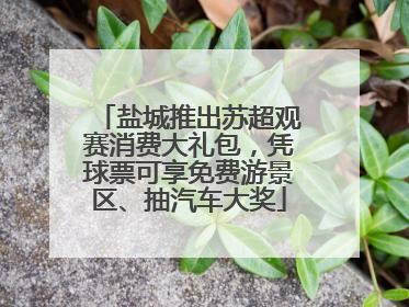 盐城推出苏超观赛消费大礼包，凭球票可享免费游景区、抽汽车大奖