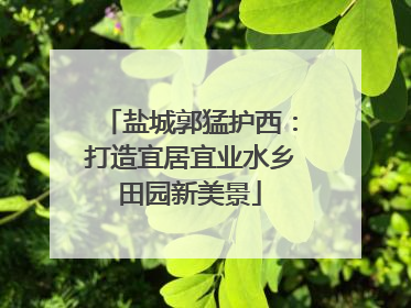 盐城郭猛护西：打造宜居宜业水乡田园新美景