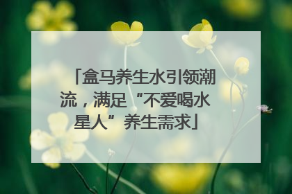 盒马养生水引领潮流，满足“不爱喝水星人”养生需求