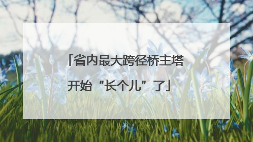省内最大跨径桥主塔开始“长个儿”了