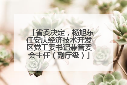 省委决定，杨旭东任安庆经济技术开发区党工委书记兼管委会主任（副厅级）