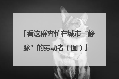 看这群奔忙在城市“静脉”的劳动者（图）