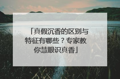 真假沉香的区别与特征有哪些？专家教你慧眼识真香