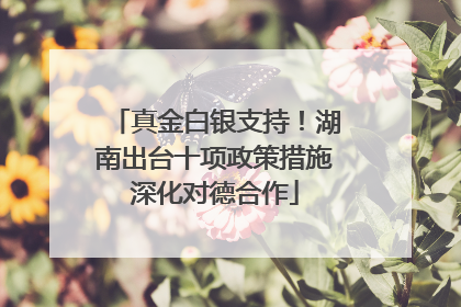 真金白银支持！湖南出台十项政策措施深化对德合作