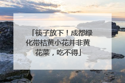 筷子放下！成都绿化带桔黄小花并非黄花菜，吃不得