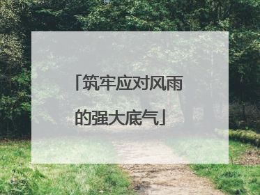 筑牢应对风雨的强大底气