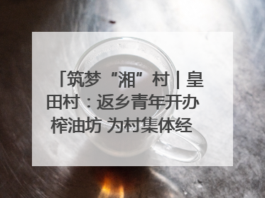 筑梦“湘”村｜皇田村：返乡青年开办榨油坊 为村集体经济“加油”