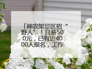 神农架景区招“野人”！日薪500元，已有近4000人报名，工作职责包括“接受游客投喂”