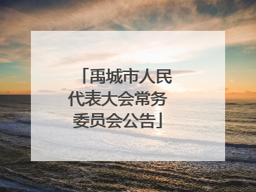 禹城市人民代表大会常务委员会公告