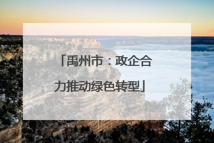 禹州市：政企合力推动绿色转型
