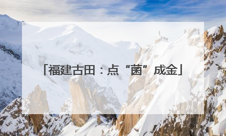 福建古田：点“菌”成金